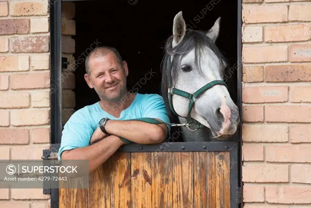 Nooitgedacht Pony. Man and gray adult horse looking out from a stable door. South Africa