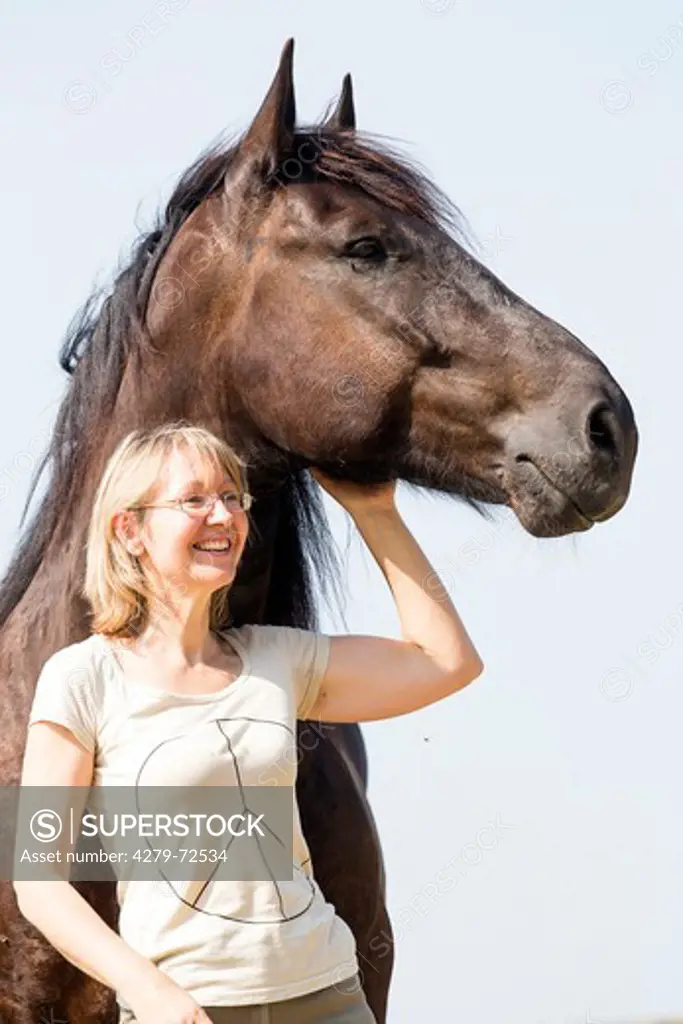 Noriker Horse. Woman next to black gelding