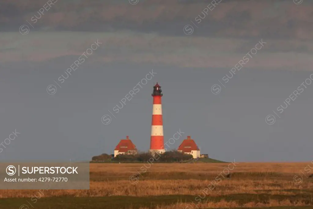The lighthouse Westerheversand in early morning light. Peninsula of Eiderstedt, North Frisia, Germany