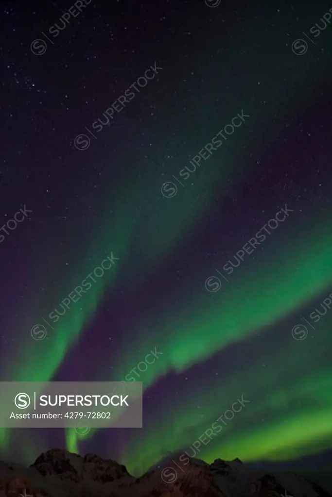 Northern Lights, Aurora Borealis over the Lofoten, Norway