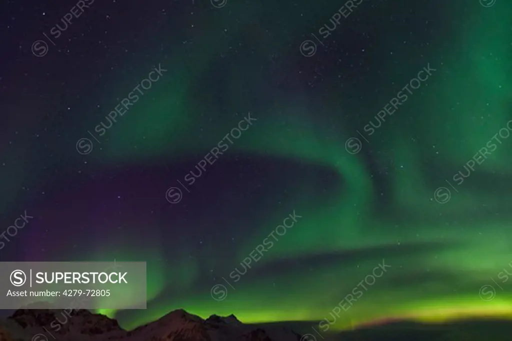 Northern Lights, Aurora Borealis over the Lofoten, Norway