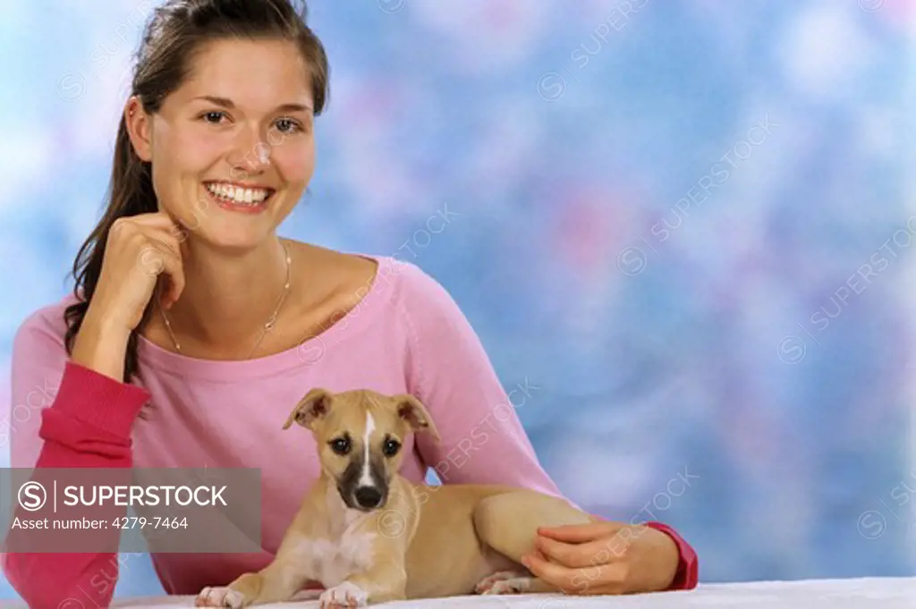 young woman with whippet puppies