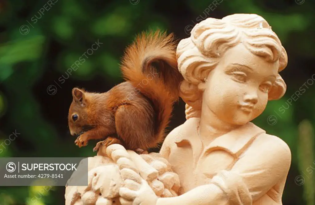 European red squirrel on statue, Sciurus vulgaris
