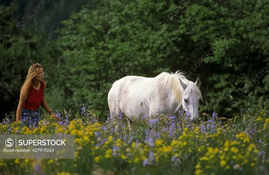 woman with horse on meadow - taking care of noxious plants