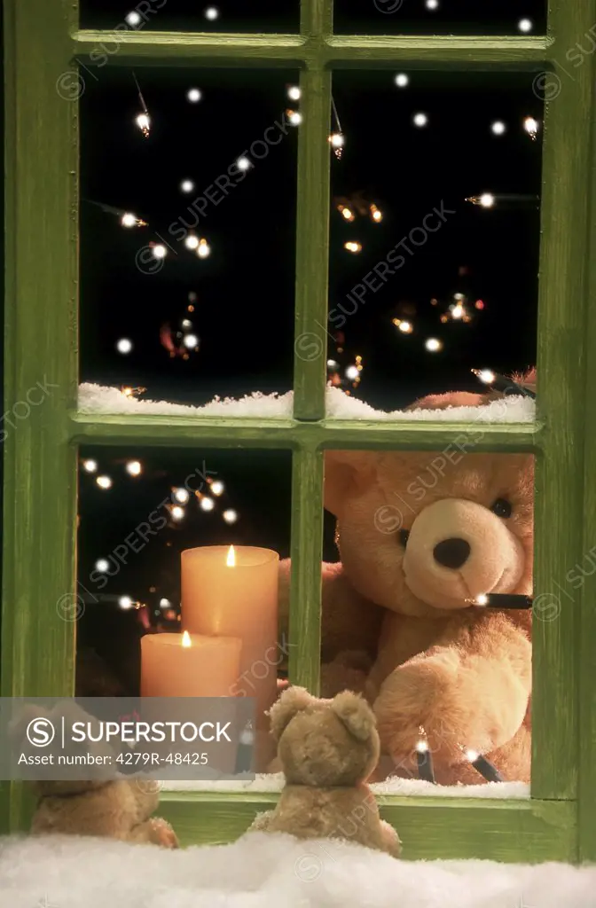 teddy indoors - two small teddies outdoors