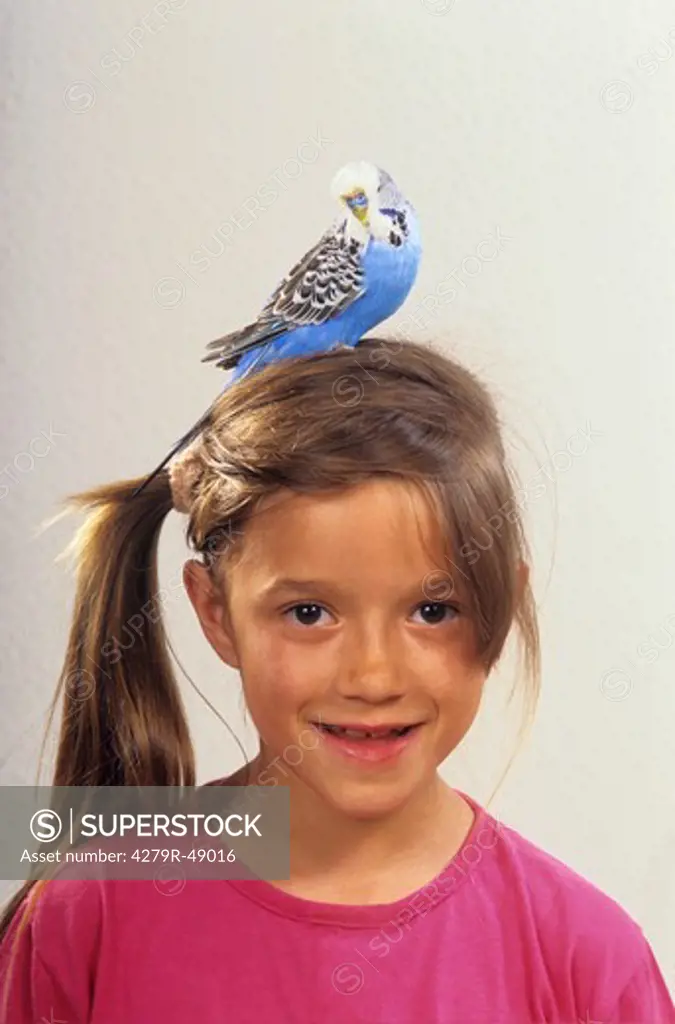 girl with budgerigar on head , Melopsittacus undulatus