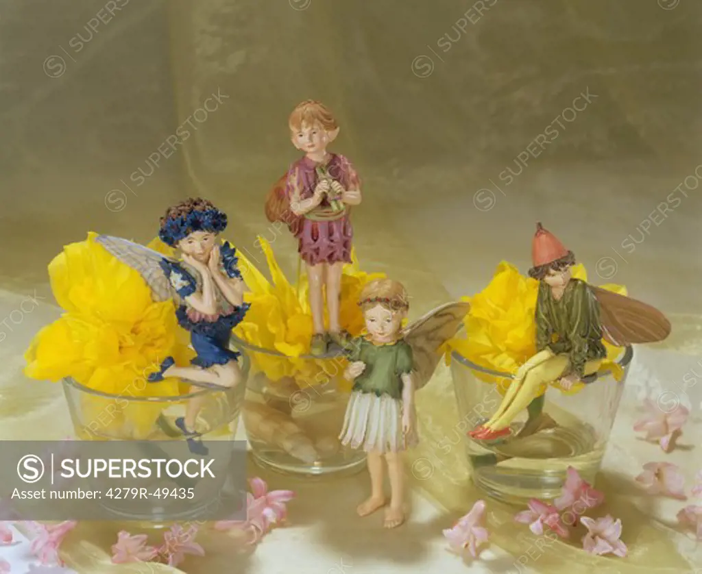 blossoms and Flower Fairies