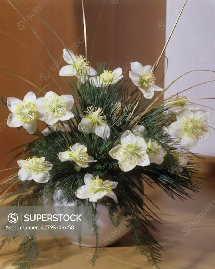 bouquet , christmas rose and twigs
