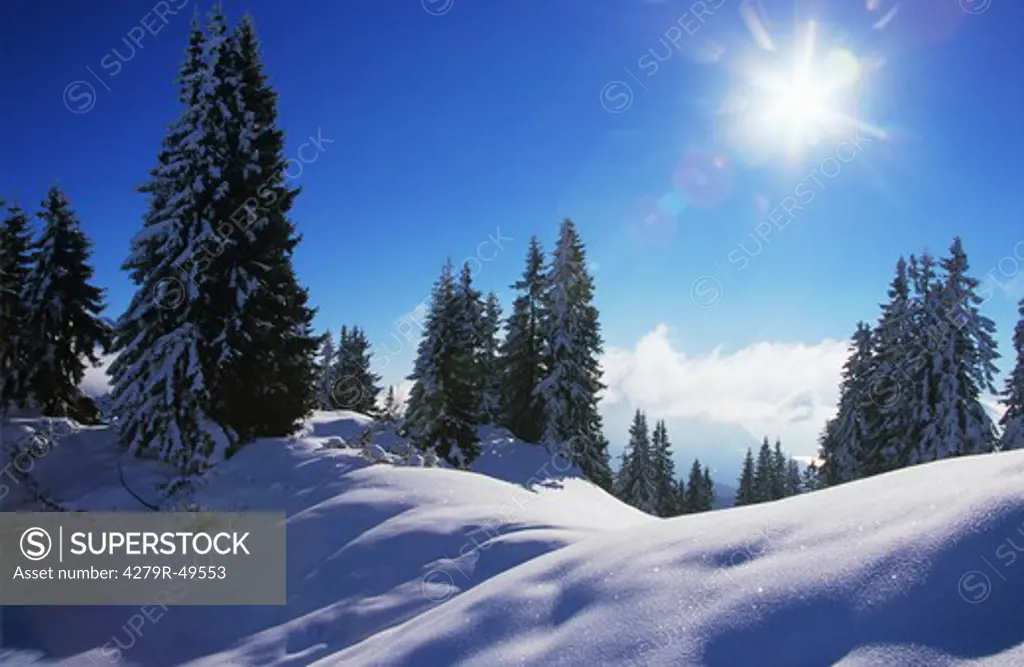 Bavaria , landscape - snow