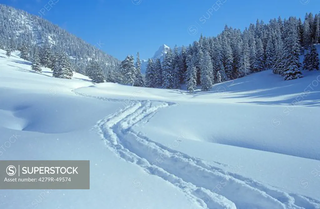 Bavaria - landscape - snow