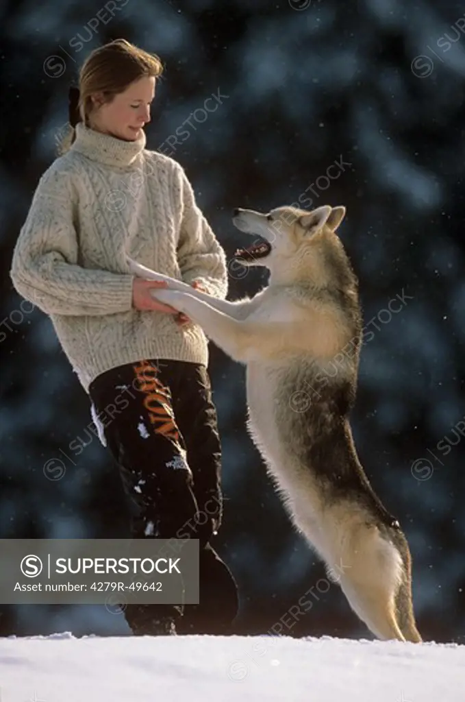 woman and Husky - standing in snow