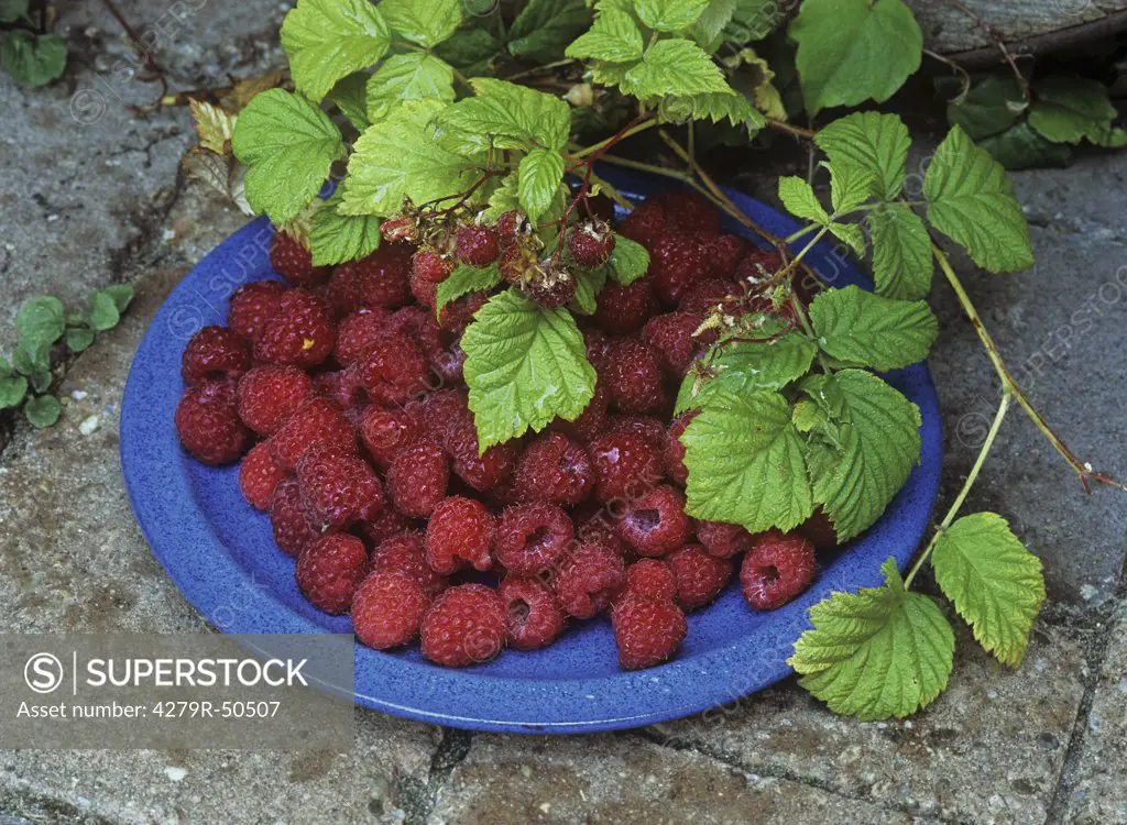 Raspberries on plate