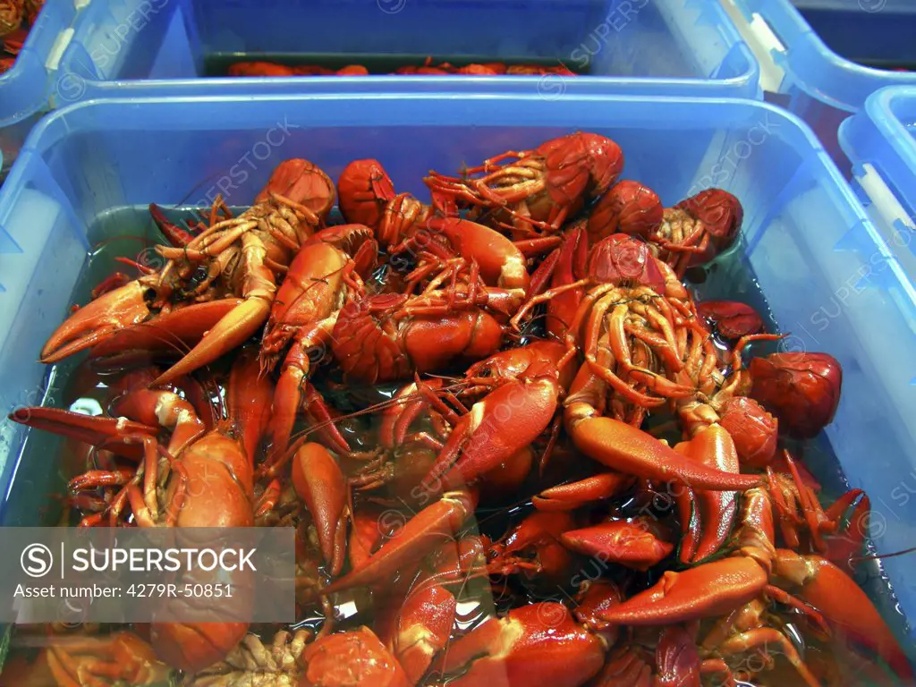 boiled crayfishes for sale
