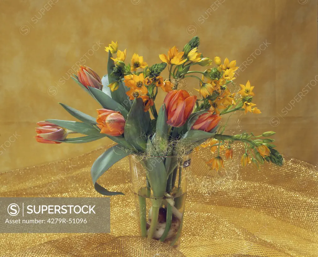bouquet with tulips and sun star