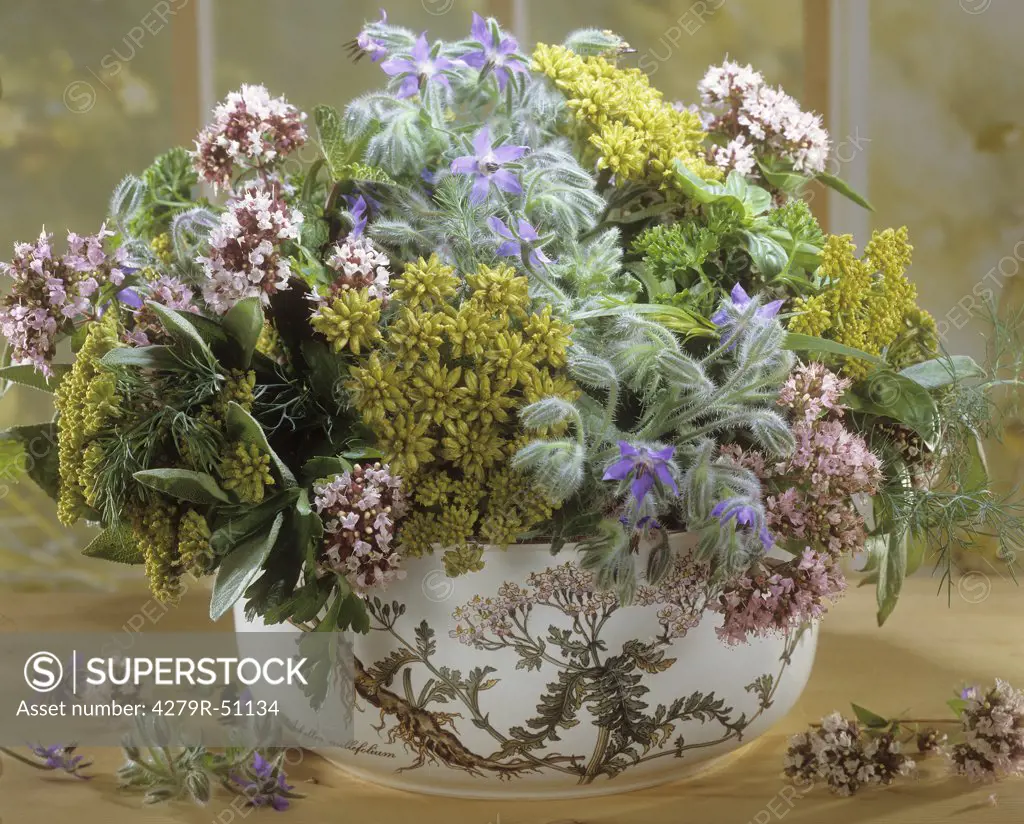 bouquet with different herbs