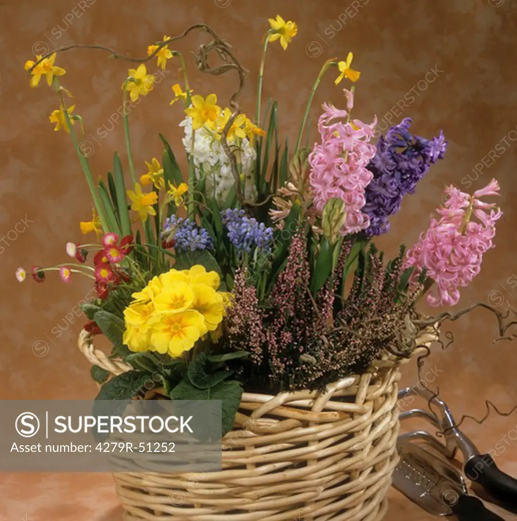 basket with different flowers