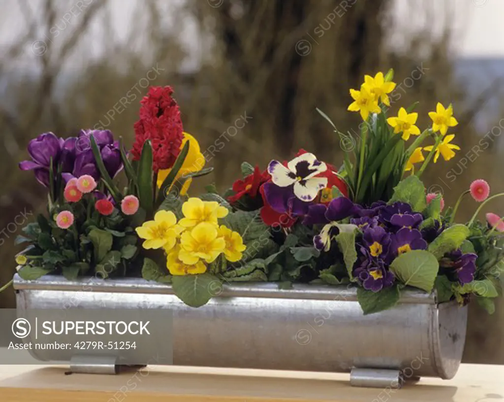 flowerpot with different flowers