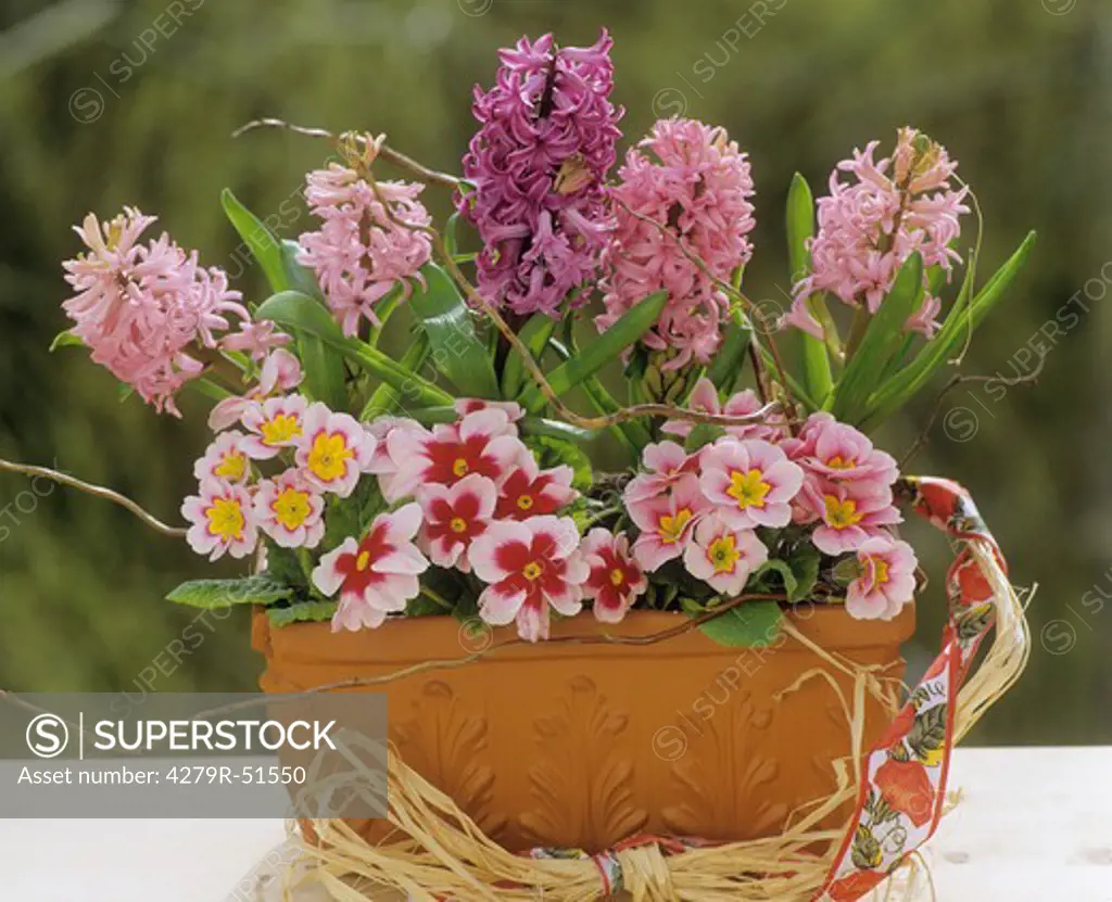 different flowers in flowerpot