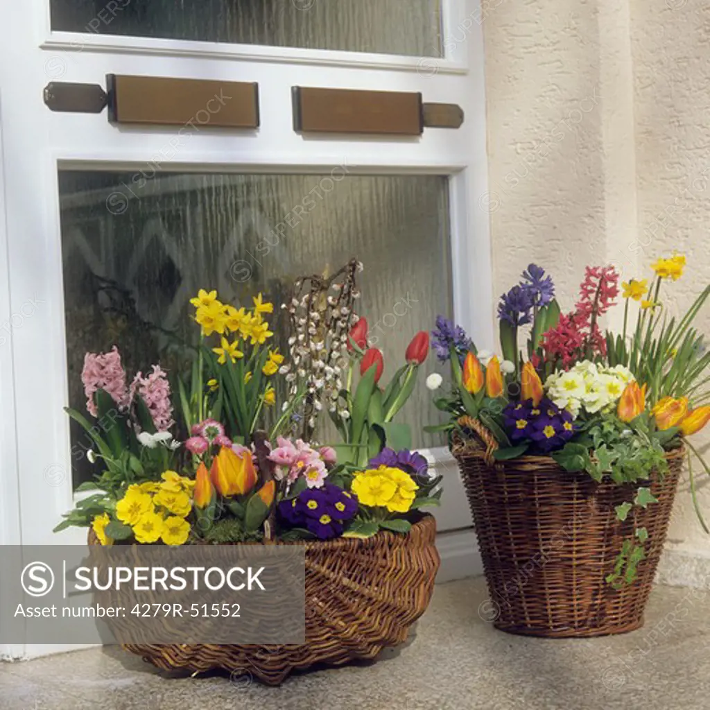 two baskets with different flowers