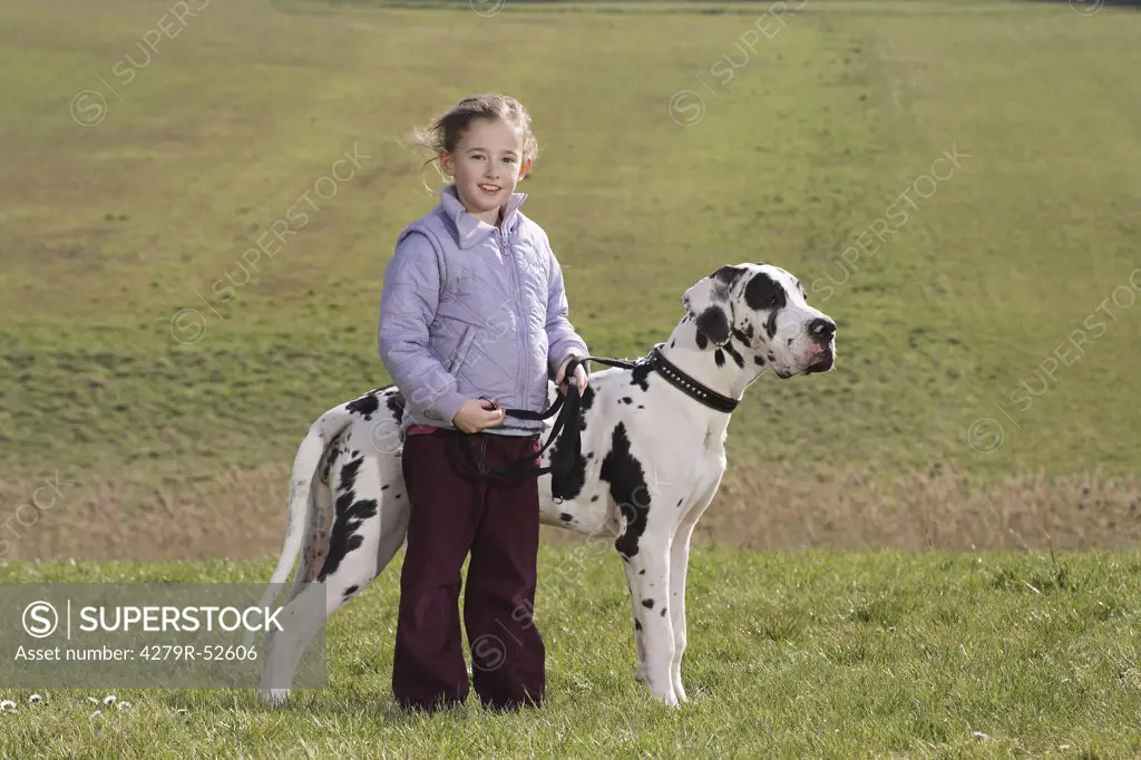 girl standing with Great Dane on meadow