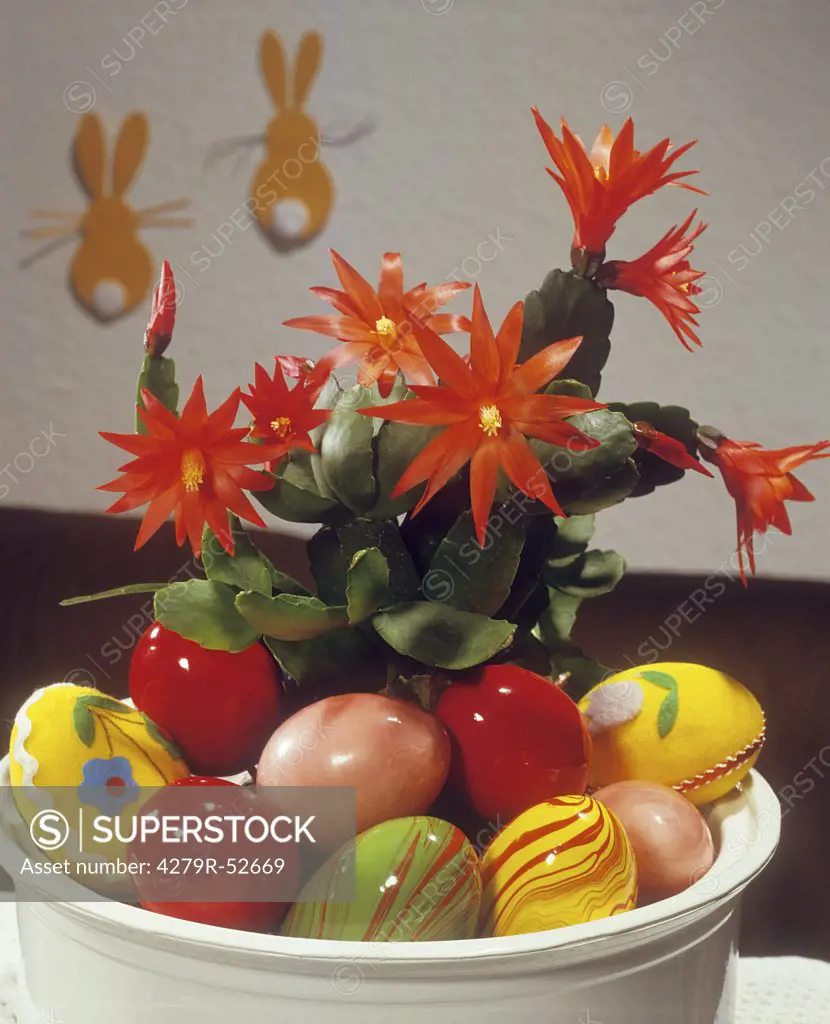 bowl with cactus and Easter eggs