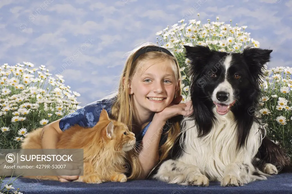 girl with Border Collie and Maine Coon