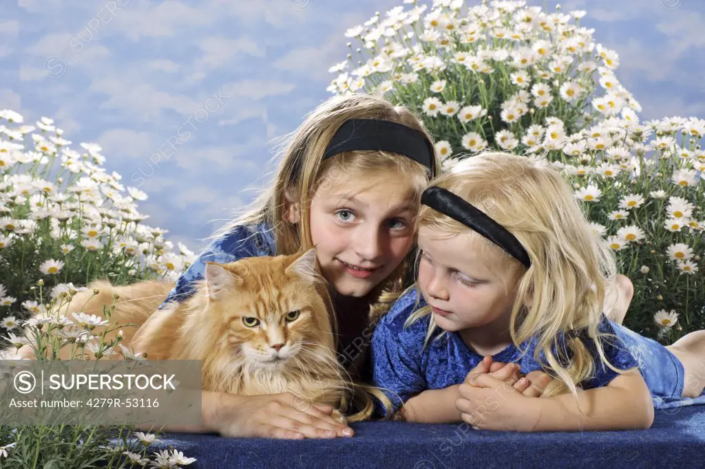 two girls with Maine Coon