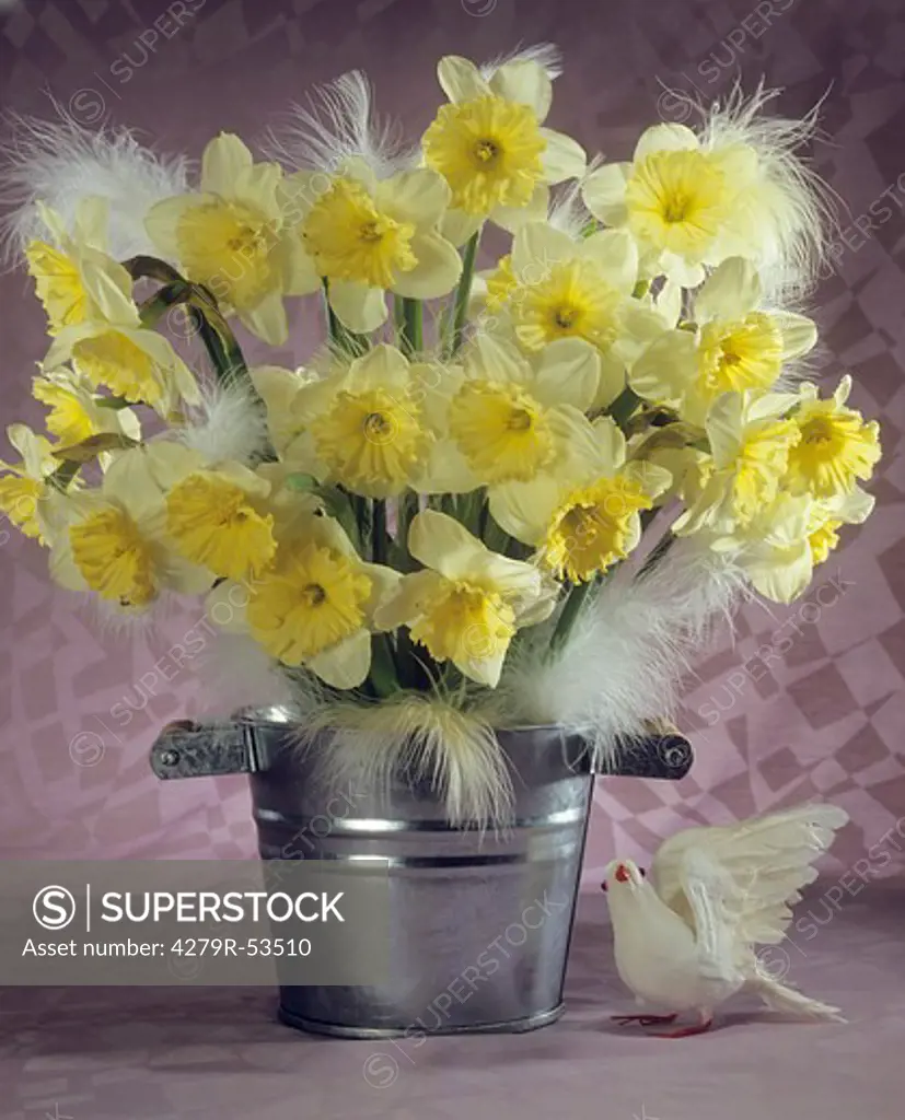 bouquet with daffodils
