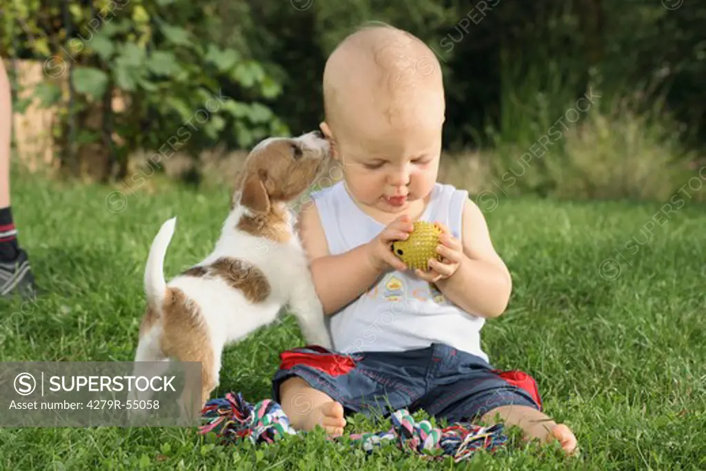 small boy with Jack Russell Terrier on meadow