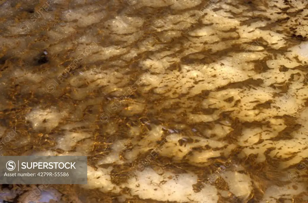 sand under water in a river