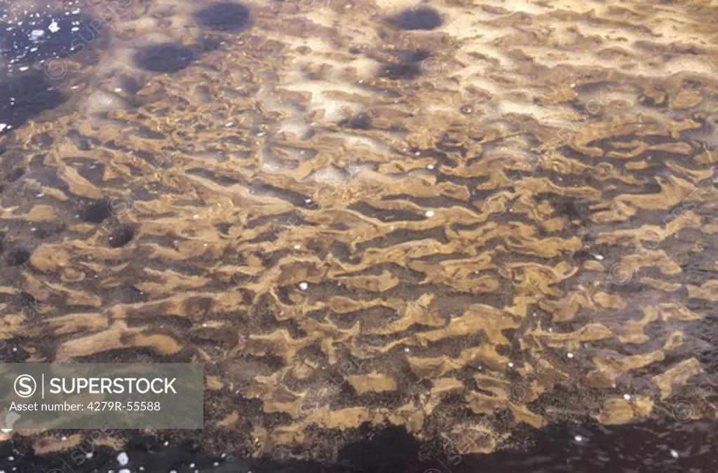 sand under water in a river