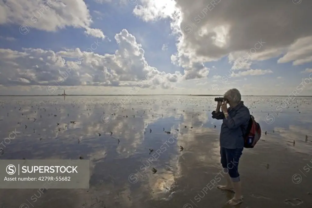 woman with binoculars in wadden sea