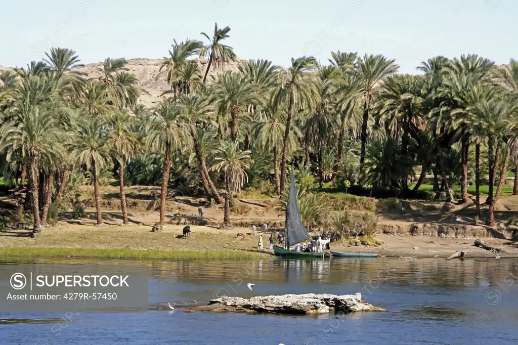 Egypt, Nile landscape