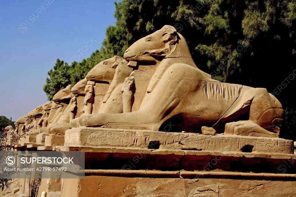 Egypt - temple of Karnak