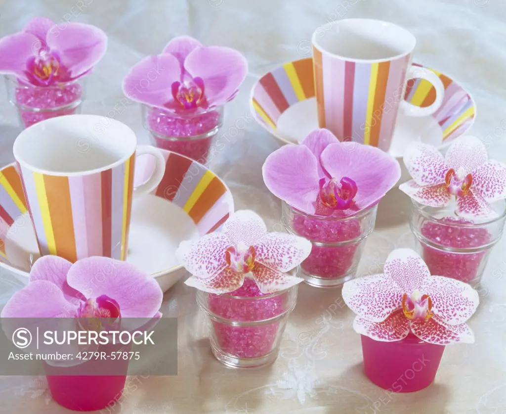 orchids (Phalaenopsis) - blossoms in glasses