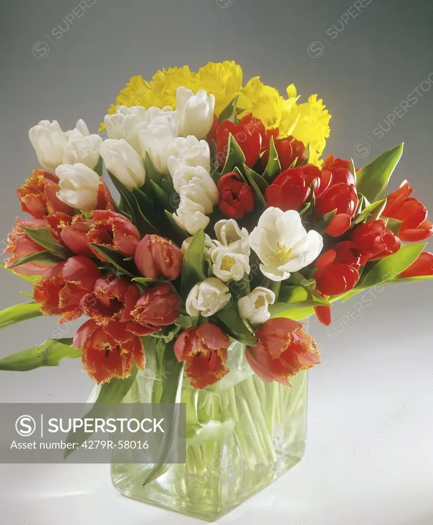 bouquet with tulips and daffodils