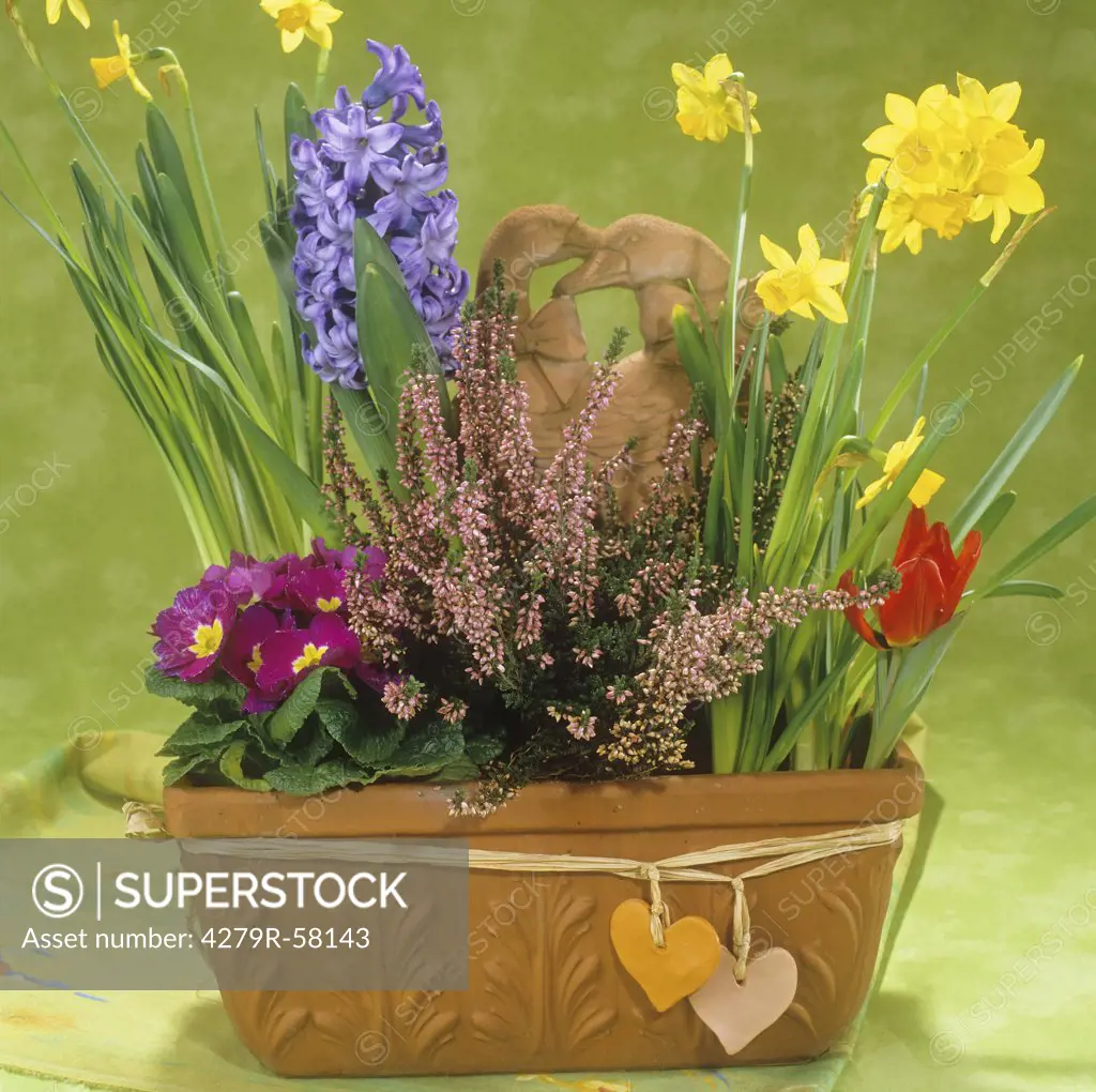 flower pot with different flowers