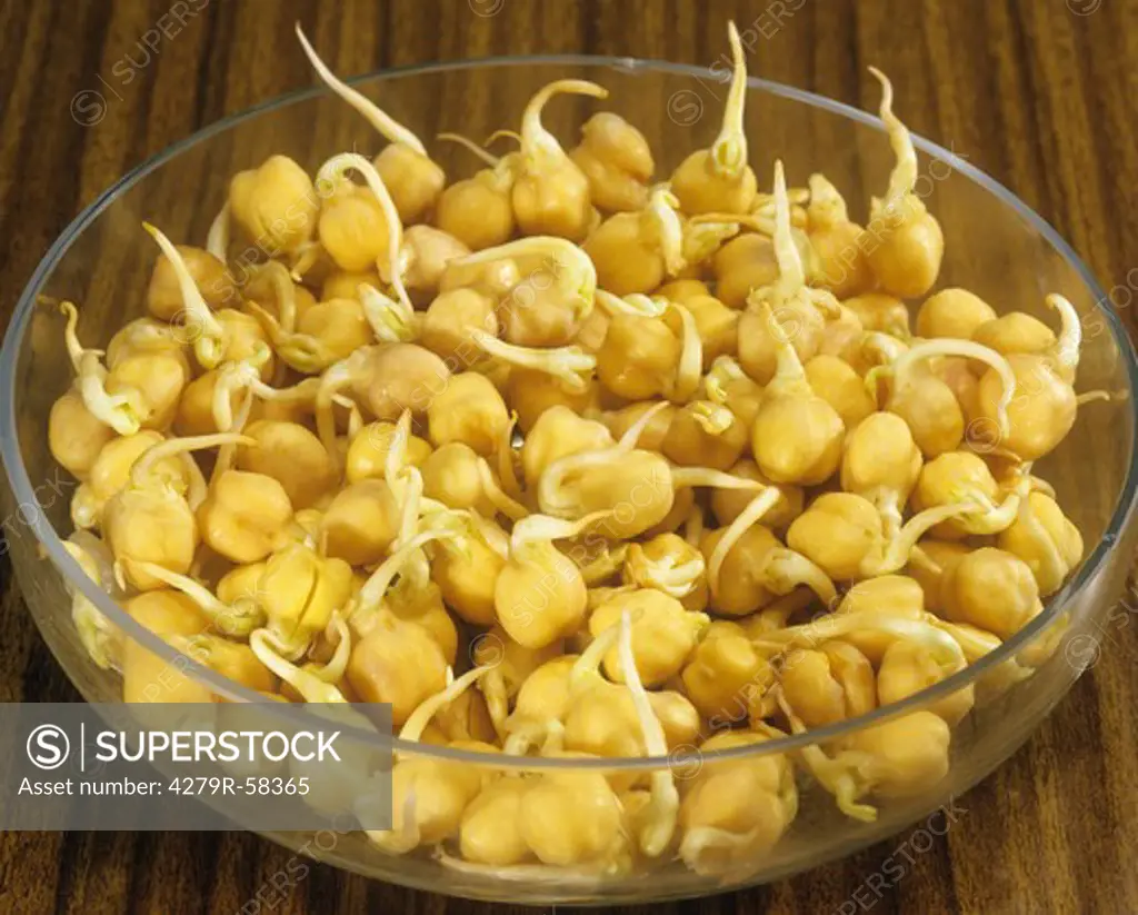 sprouts of chickpeas in dish