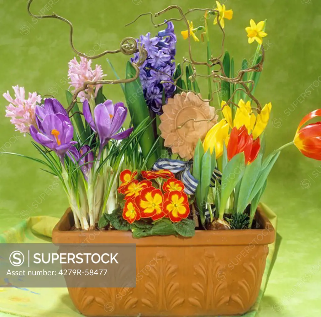 flowerpot with spring flowers