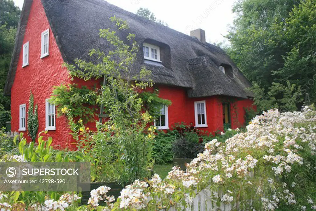 Ireland - red, thatched house