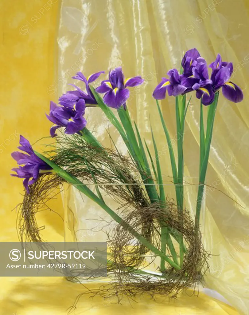 boquet with irises