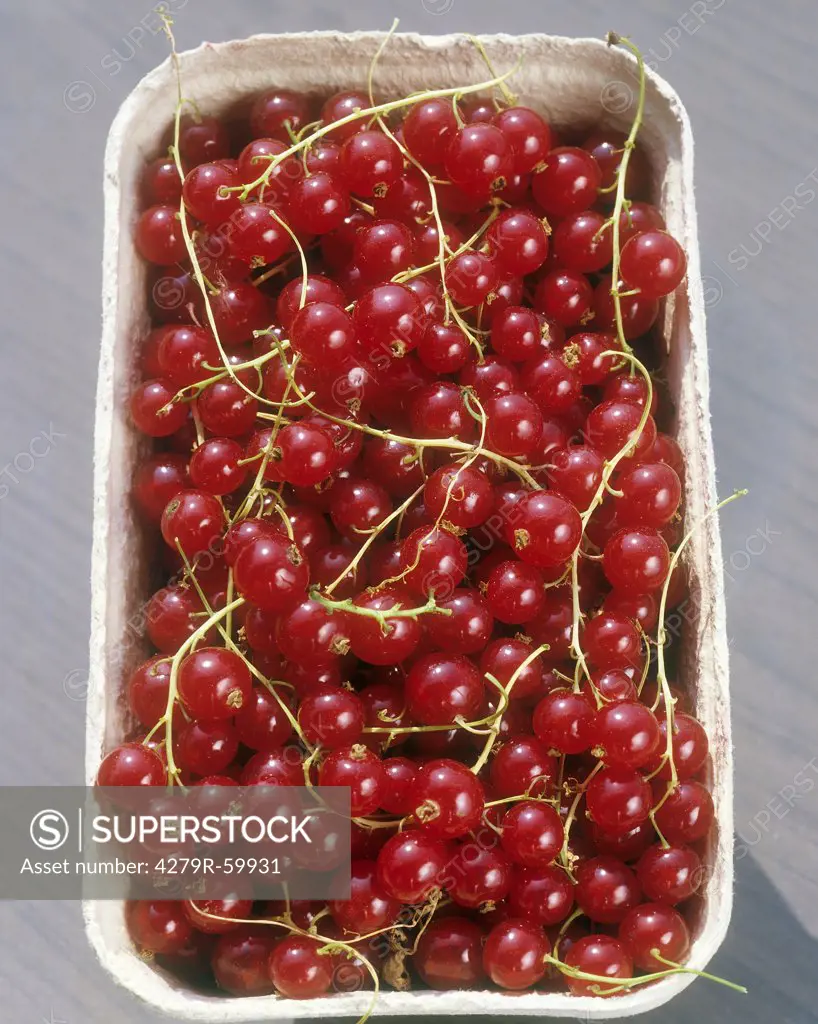 red currants in bowl