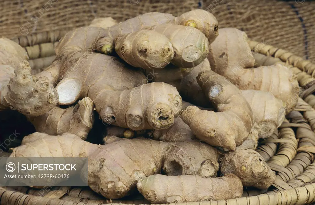 ginger - roots