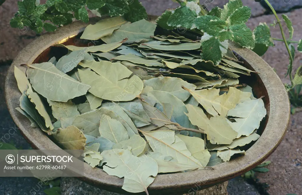 dried Bay leaves in a bowl