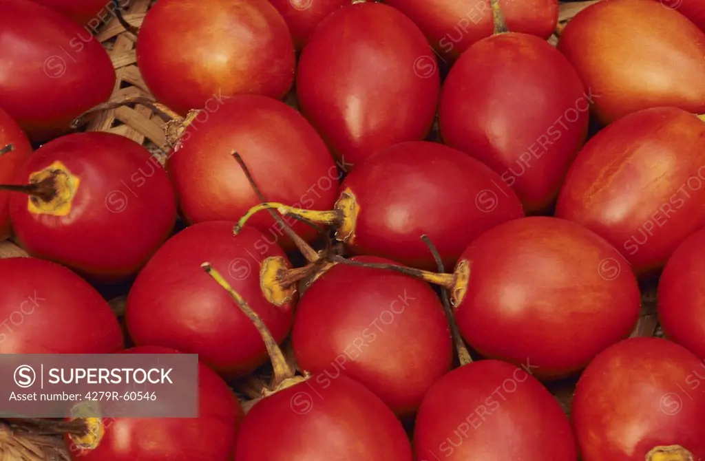 Tree tomato - fruits , Solanum betaceum
