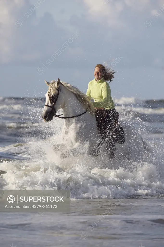 woman riding on Andalusian horse in water