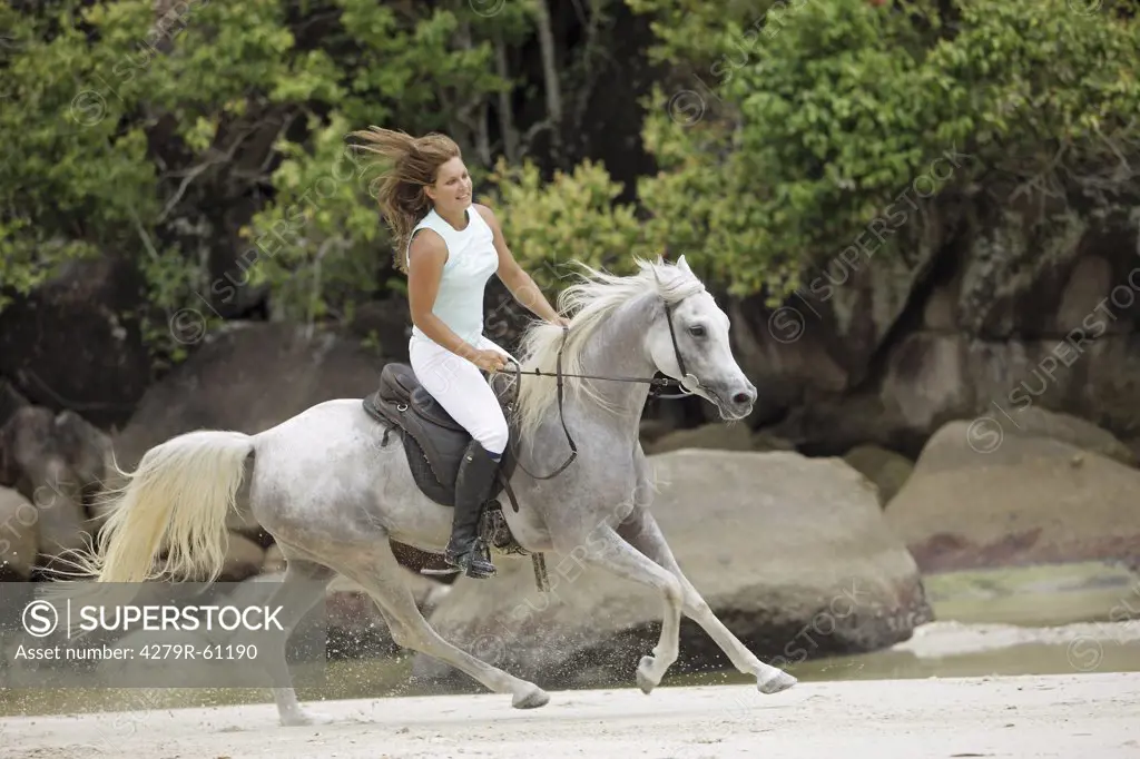 woman riding on Arabian horse - at the beach