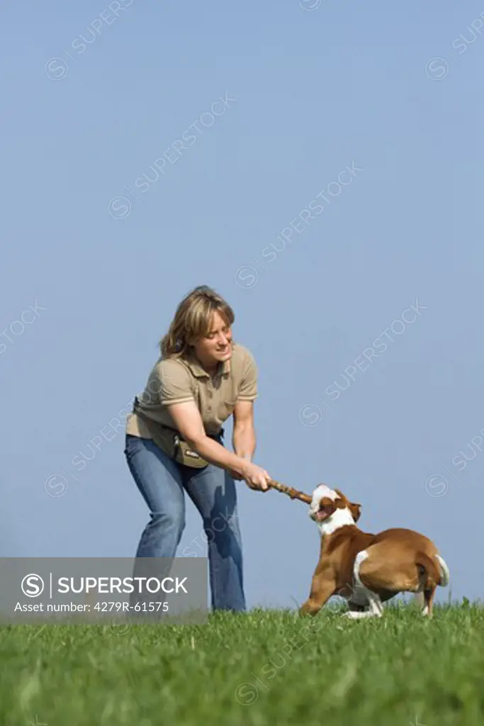 woman - playing with half breed dog (Podenco Pointer) on meadow