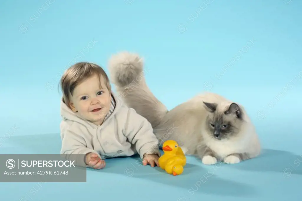 small boy - lying besides Neva masquarade cat