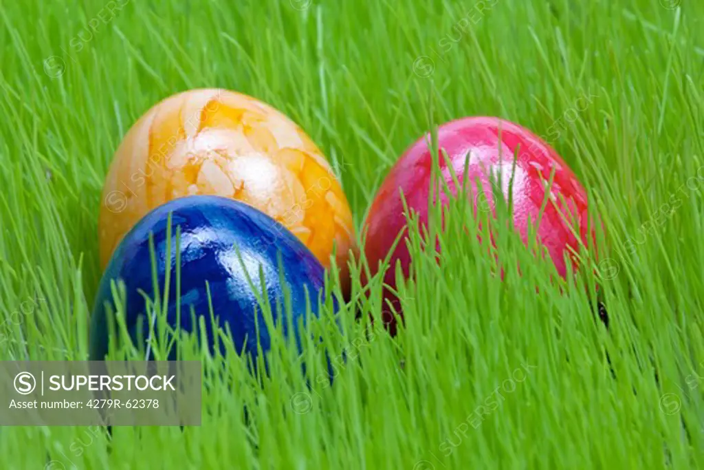 Easter, three Easter eggs in the grass